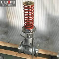 自力式壓力調(diào)節(jié)閥：科技引領，壓力控制新篇章